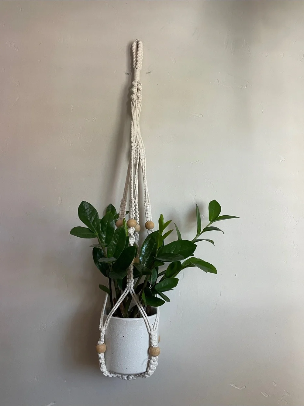 •| macrame plant holder - Picture 1 of 7